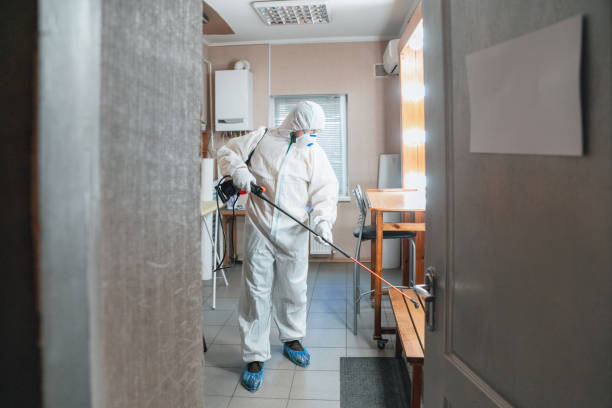 Mold Odor Removal Services in Wilson, NC