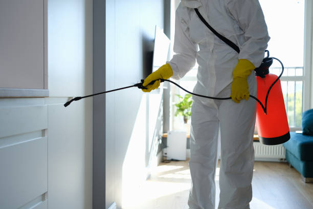Wilson, NC Mold Removal Company